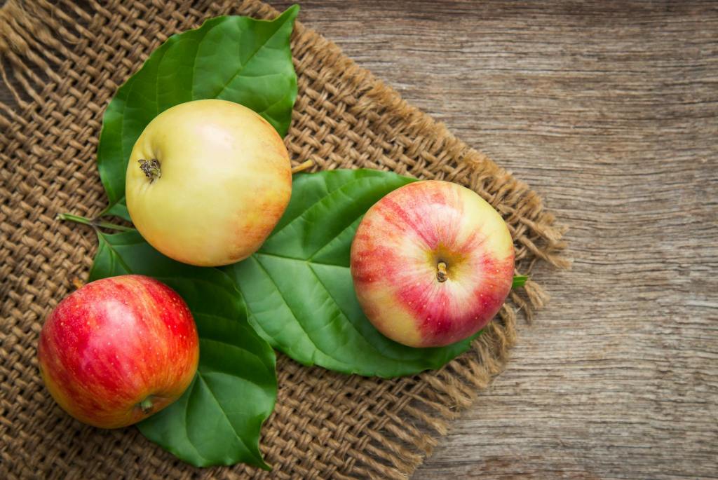 Sweet & Crisp: Why “An Apple a Day” Truly Keeps the Doctor&nbsp;Away