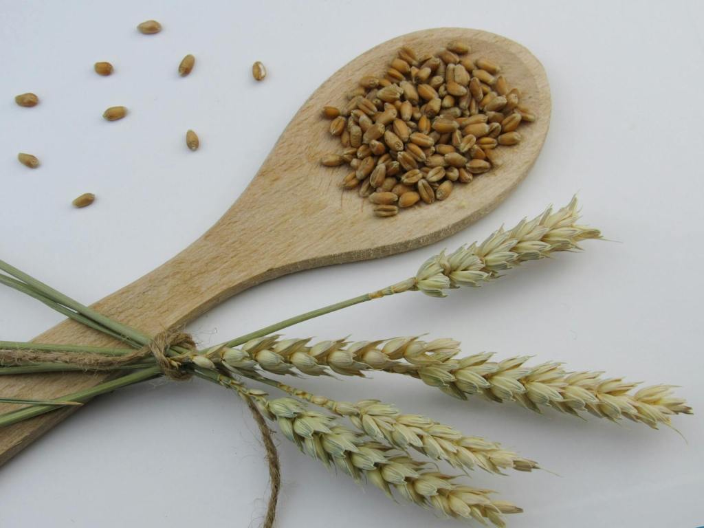 Whole Grain Barley: The Ancient Grain for a Healthier&nbsp;You