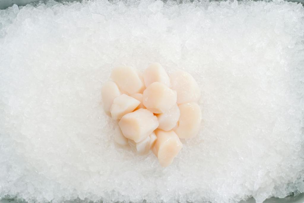 Scallops Unveiled: The Ocean’s Luxurious&nbsp;Superfood