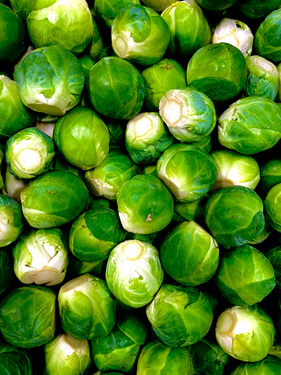 Crunchy, Nutritious, and Cancer-Fighting: Meet Brussels&nbsp;Sprouts