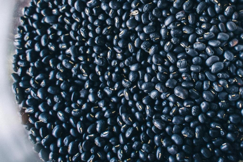 From Tacos to Soups: Why Black Beans Are a Must-Have&nbsp;Ingredient