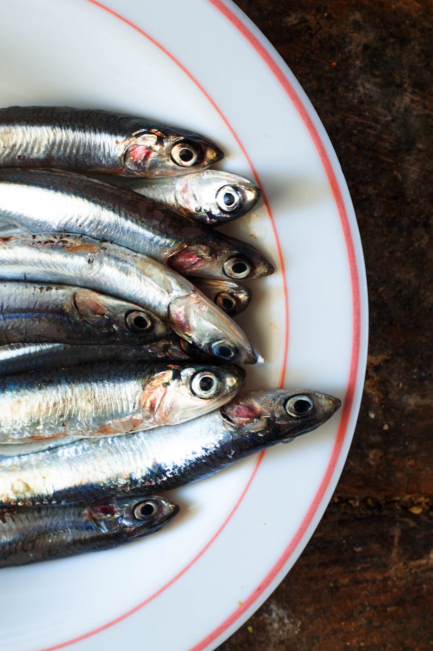Swimming in Benefits: Why Sardines Are a&nbsp;Must-Eat