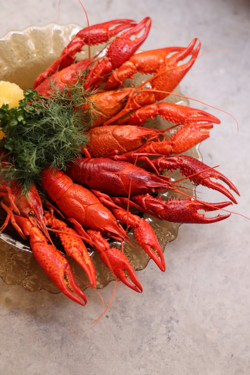 Seafood’s Hidden Gem: The Nutritional Power of&nbsp;Crayfish