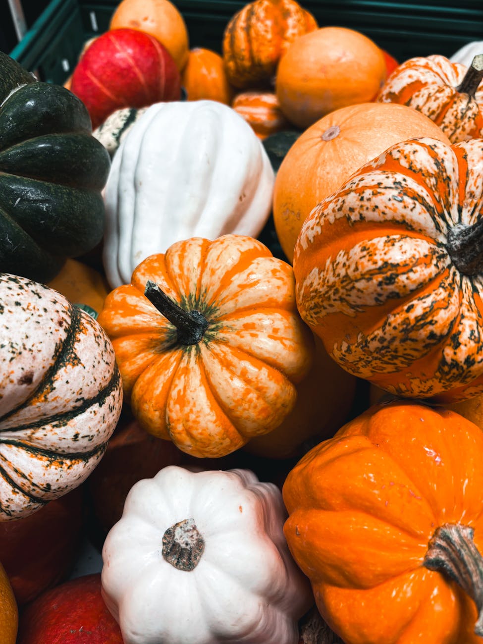 Harvest Health: Discover the Power of&nbsp;Squash