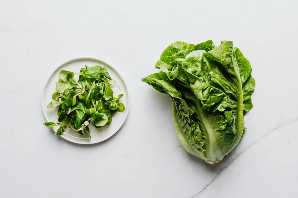 Lettuce Be Calm – The Soothing Power of a Simple&nbsp;Leaf